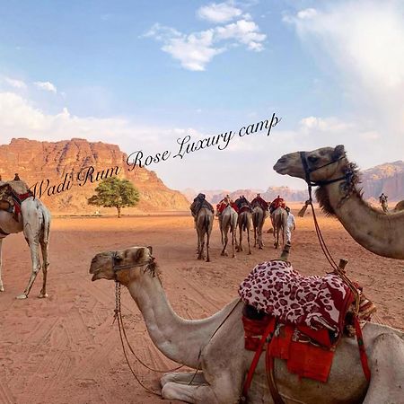Wadi Rum Rose Luxury Camp Exteriér fotografie