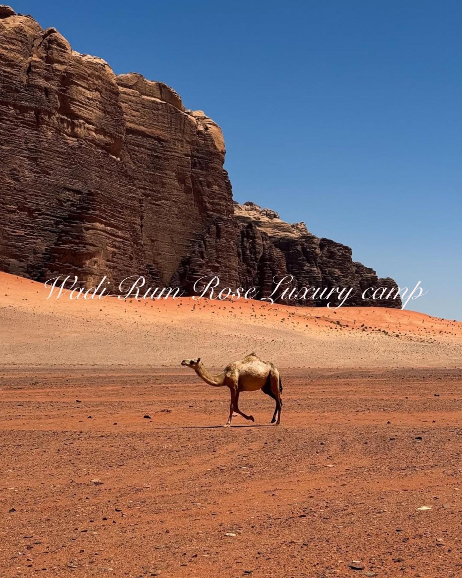 Wadi Rum Rose Luxury Camp Exteriér fotografie