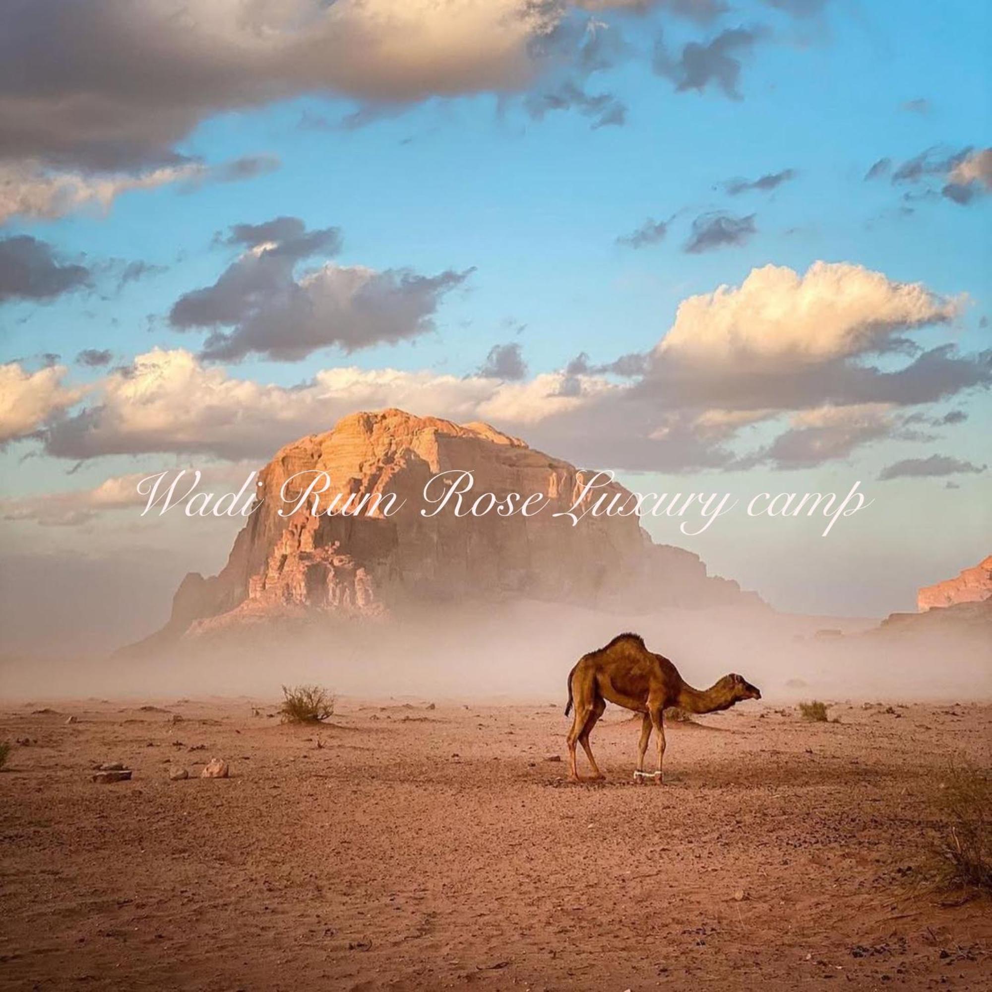 Wadi Rum Rose Luxury Camp Exteriér fotografie