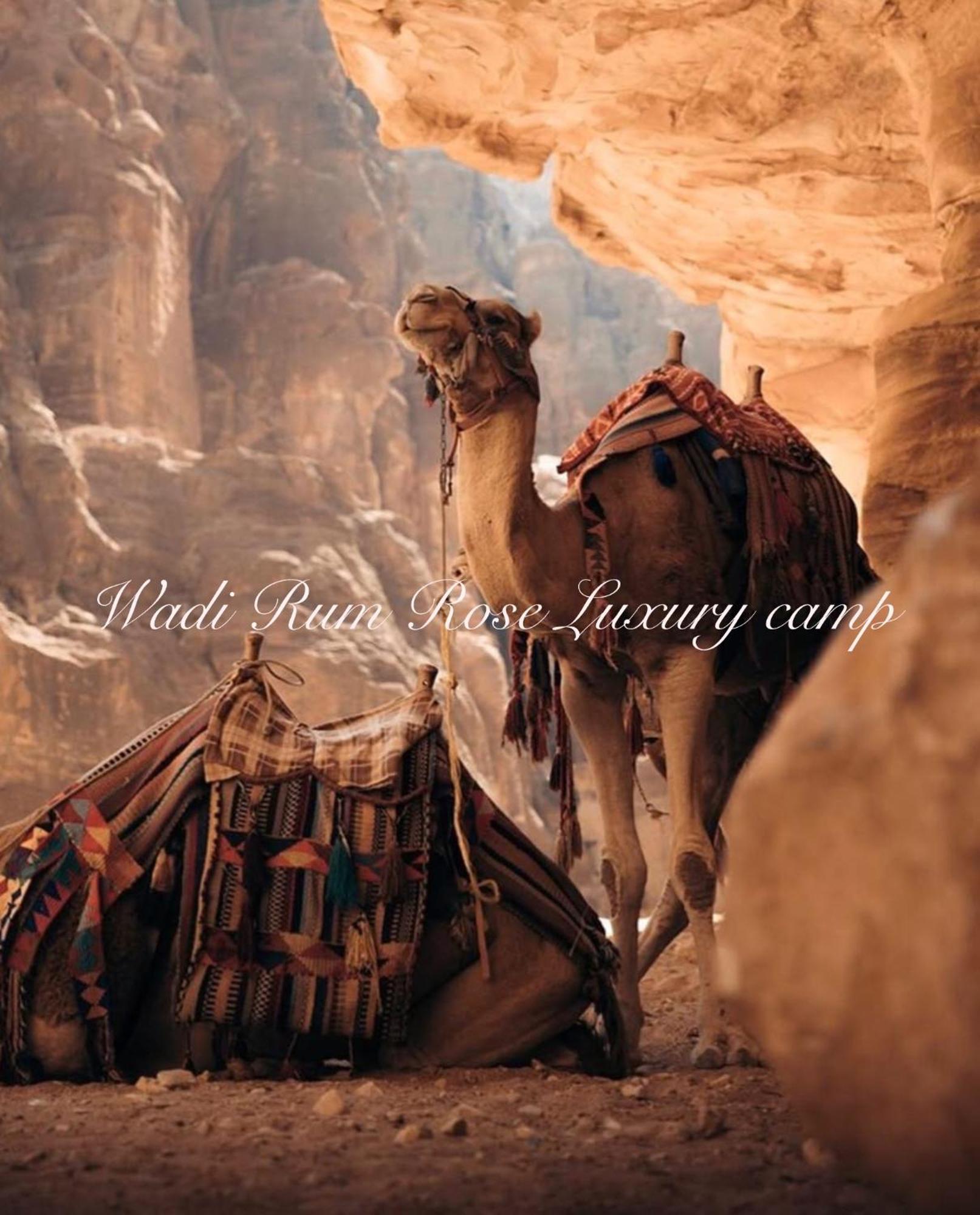 Wadi Rum Rose Luxury Camp Exteriér fotografie